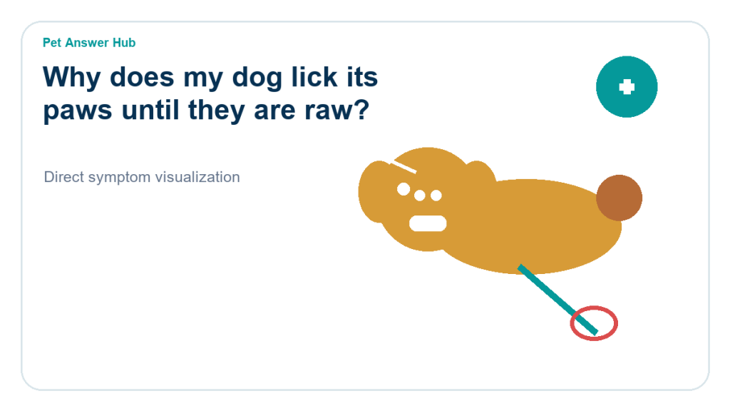 why does my dog lick its paws until they are raw dog behavior visual
