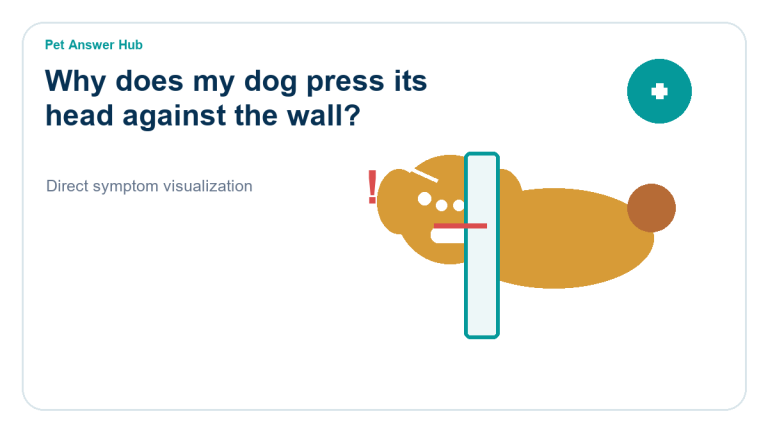 why does my dog press its head against the wall dog behavior visual