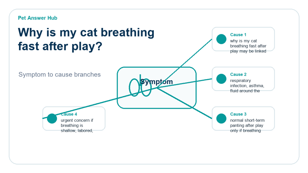 why is my cat breathing fast after play diagnostic cause diagram