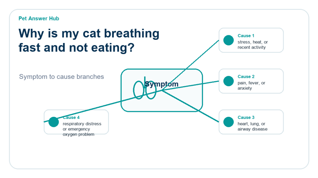 why is my cat breathing fast and not eating diagnostic cause diagram