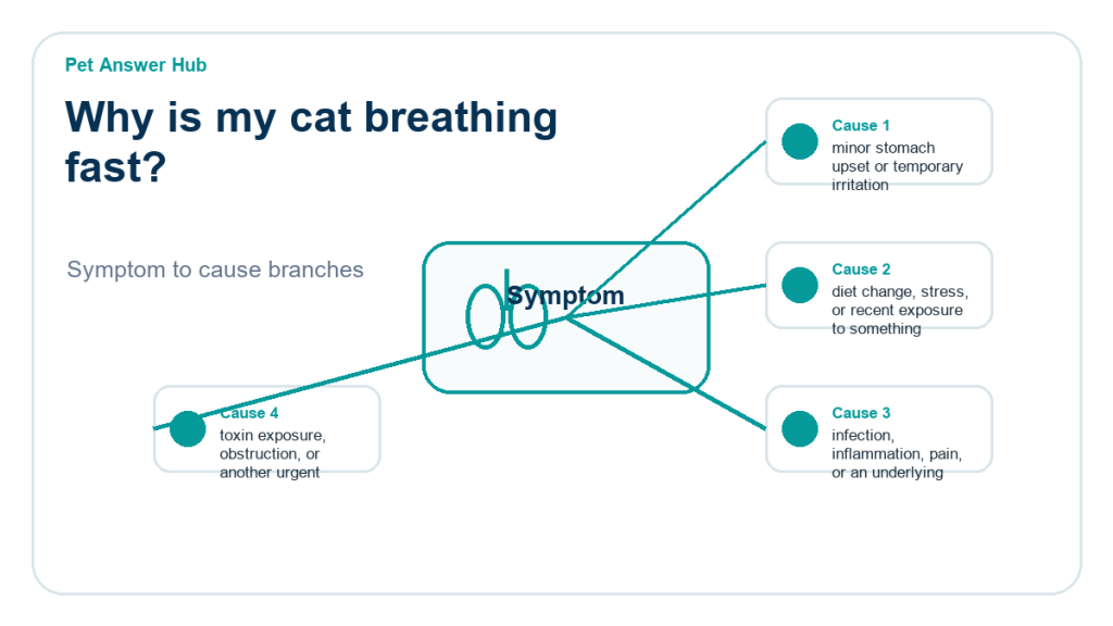 why is my cat breathing fast cause diagram
