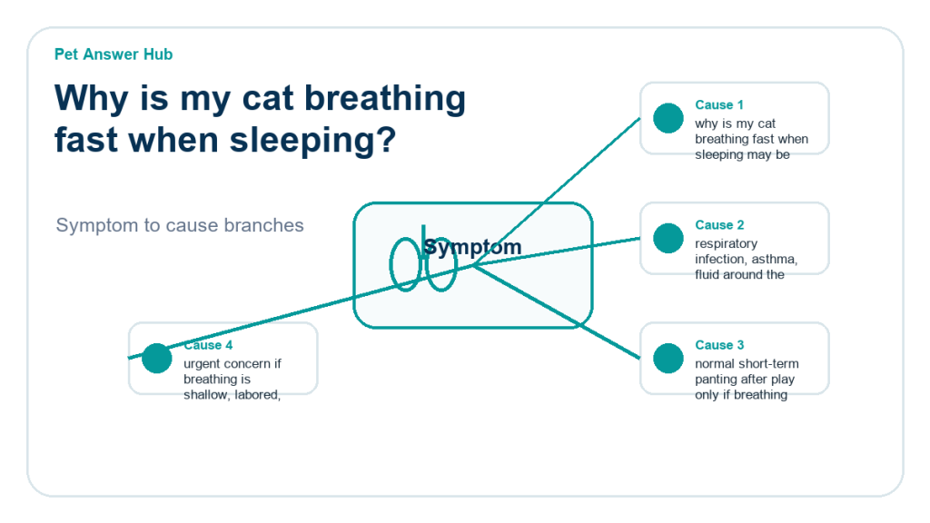 why is my cat breathing fast when sleeping diagnostic cause diagram