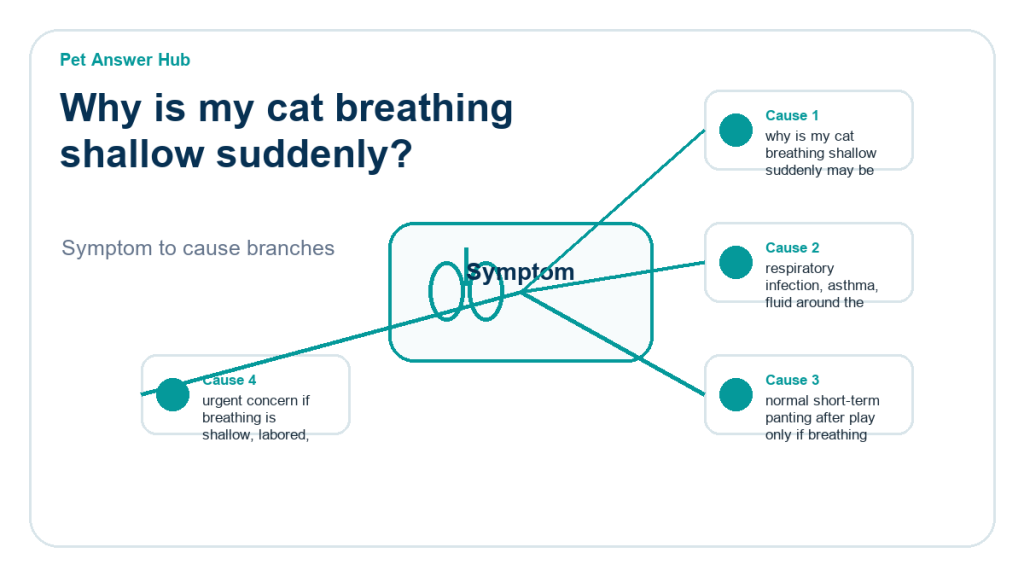 why is my cat breathing shallow suddenly diagnostic cause diagram