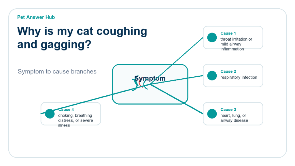why is my cat coughing and gagging diagnostic cause diagram