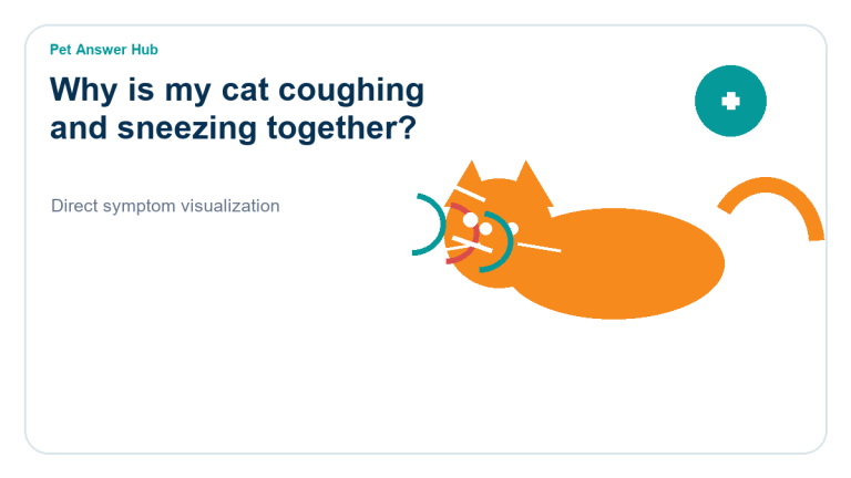 why is my cat coughing and sneezing together cat symptom state visual