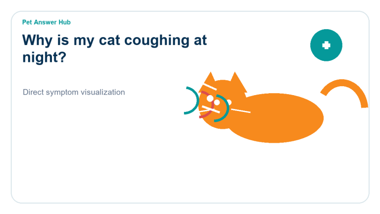 why is my cat coughing at night symptom state visual