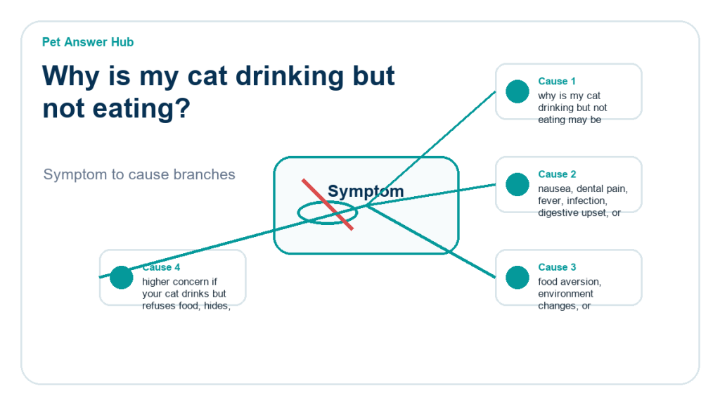why is my cat drinking but not eating diagnostic cause diagram