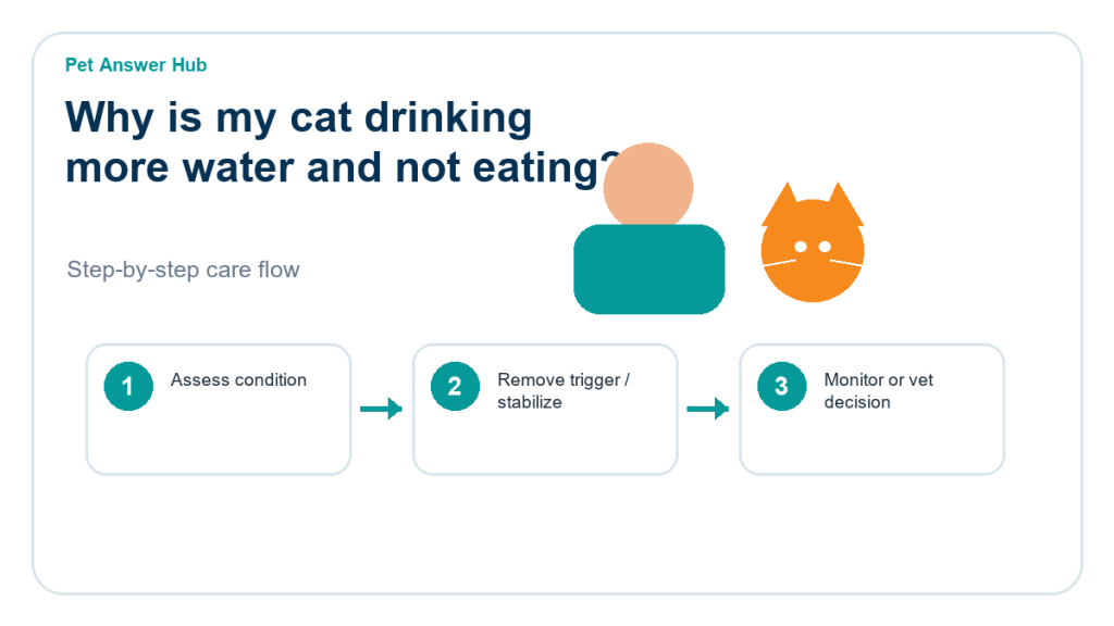 why is my cat drinking more water and not eating triage action flow