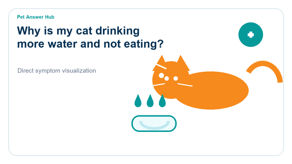 why is my cat drinking more water and not eating symptom state visual