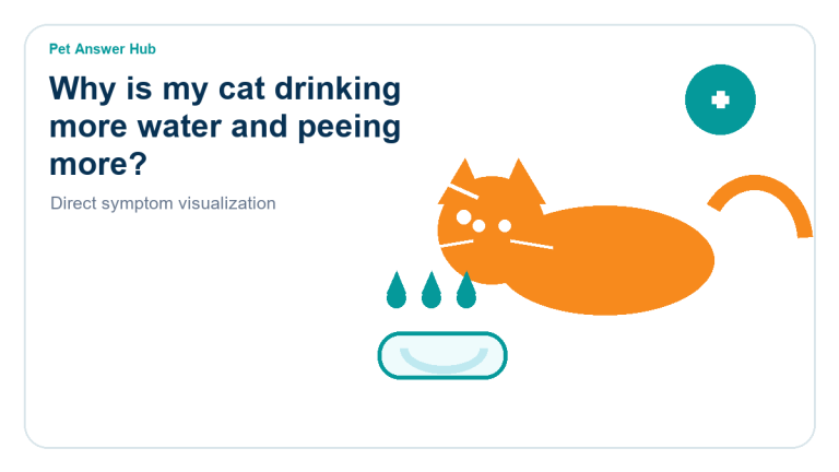 why is my cat drinking more water and peeing more symptom state visual