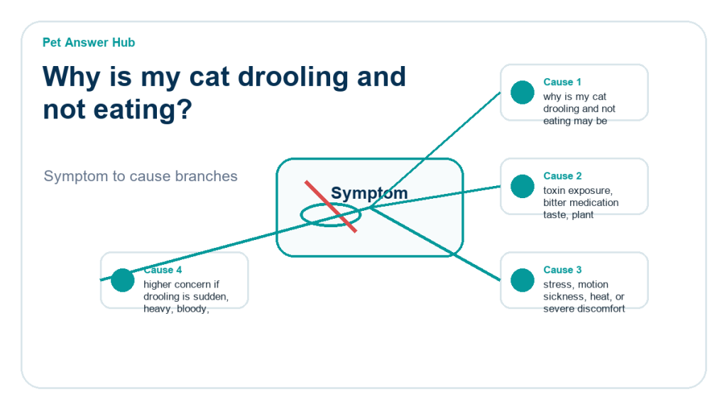 why is my cat drooling and not eating diagnostic cause diagram