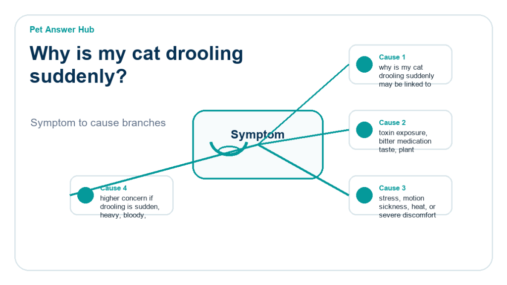 why is my cat drooling suddenly diagnostic cause diagram