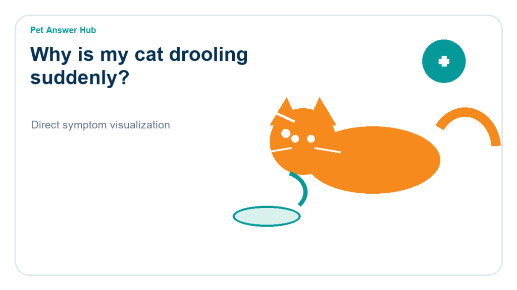 why is my cat drooling suddenly cat symptom state visual