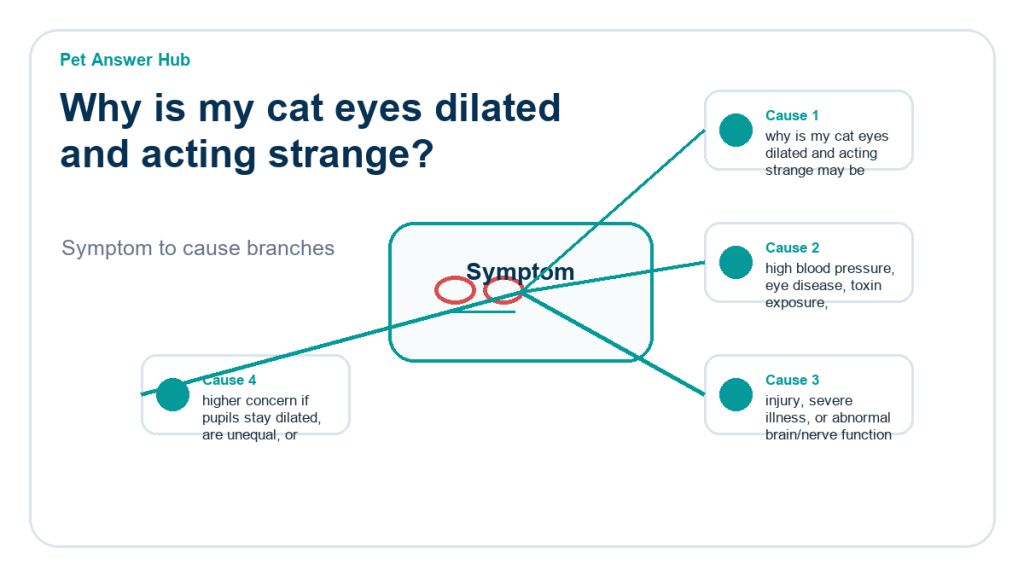 why is my cat eyes dilated and acting strange diagnostic cause diagram