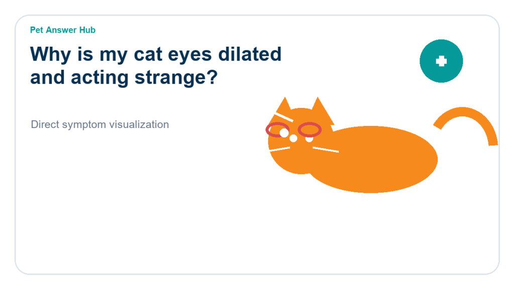 why is my cat eyes dilated and acting strange cat symptom state visual