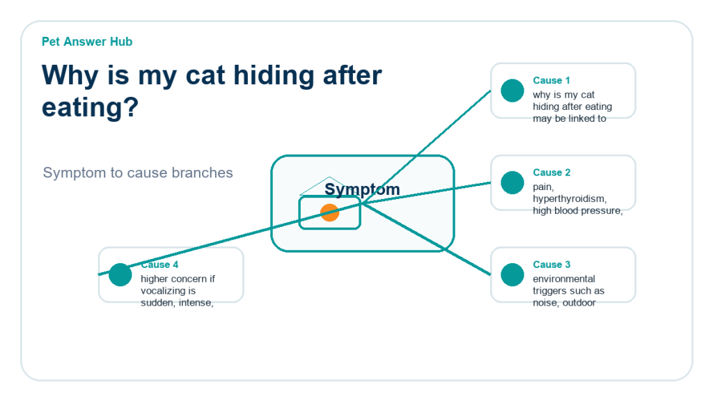 why is my cat hiding after eating diagnostic cause diagram