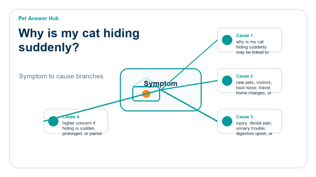why is my cat hiding suddenly behavior cause diagram