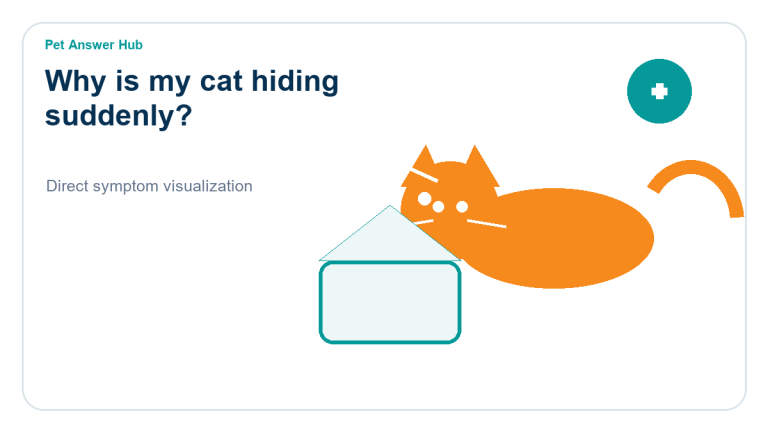 why is my cat hiding suddenly cat behavior visual