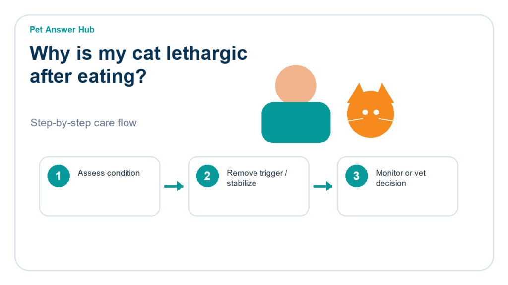 why is my cat lethargic after eating cat care action flow