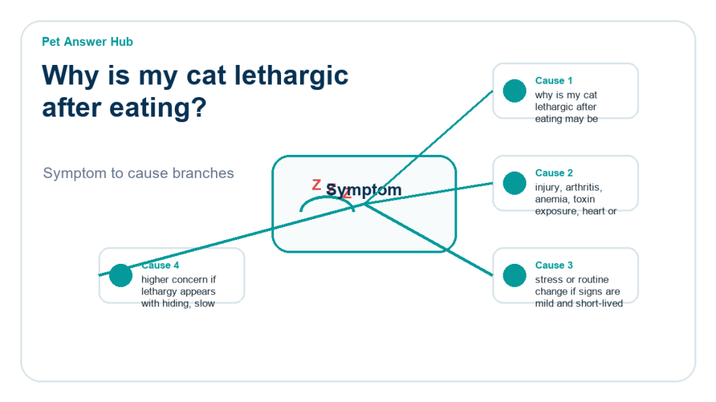 why is my cat lethargic after eating diagnostic cause diagram