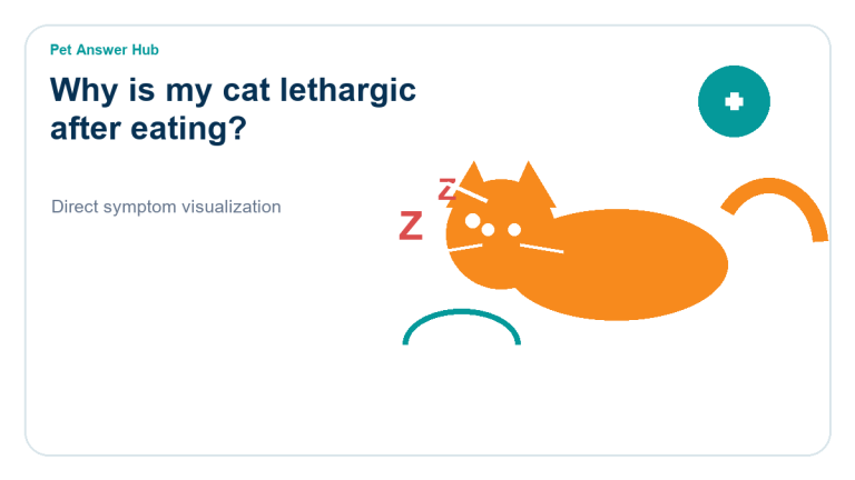 why is my cat lethargic after eating cat symptom state visual