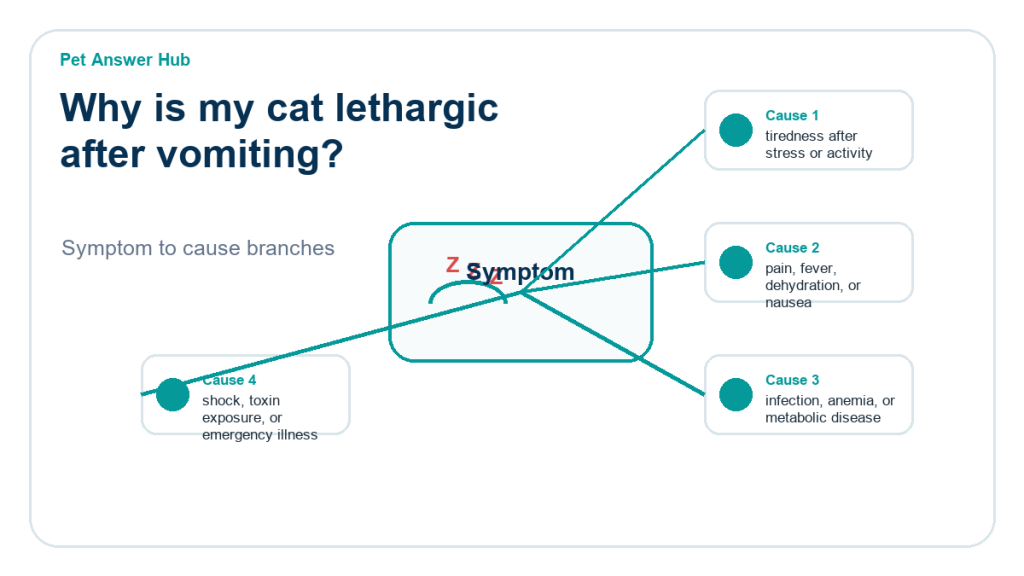 why is my cat lethargic after vomiting diagnostic cause diagram