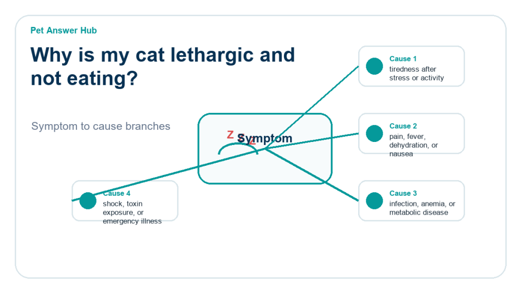 why is my cat lethargic and not eating diagnostic cause diagram