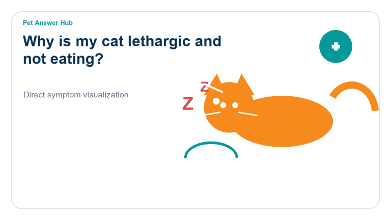 why is my cat lethargic and not eating symptom state visual