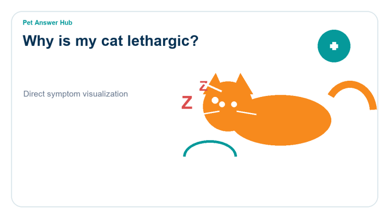 why is my cat lethargic symptom state visual