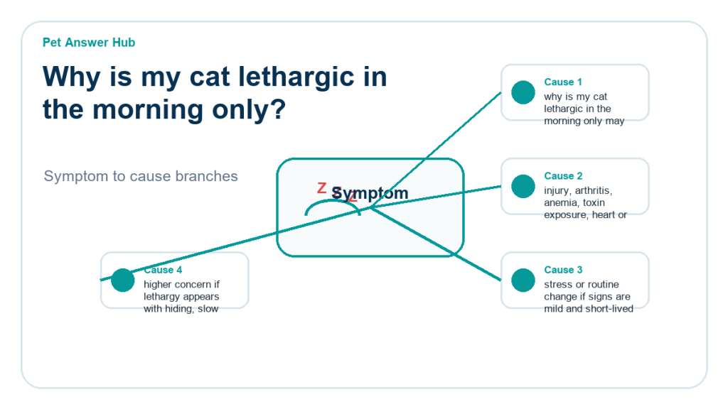 why is my cat lethargic in the morning only diagnostic cause diagram