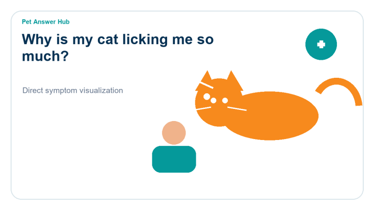 why is my cat licking me so much cat behavior visual