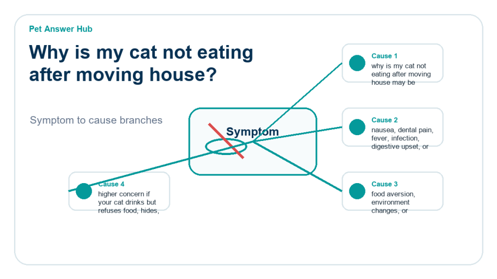 why is my cat not eating after moving house diagnostic cause diagram