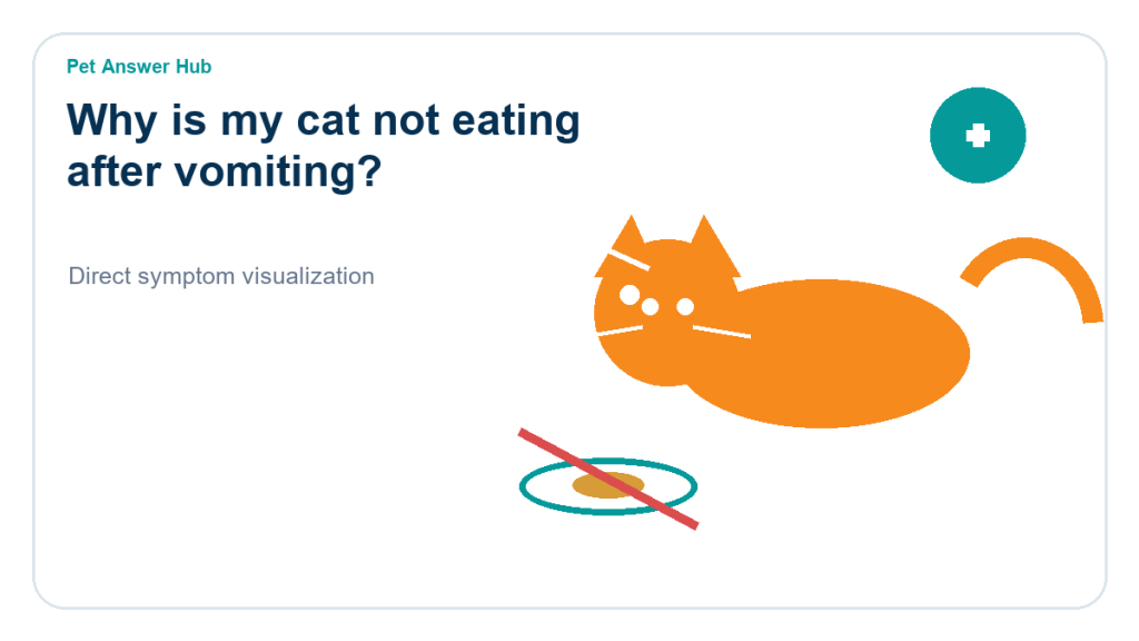 why is my cat not eating after vomiting symptom state visual