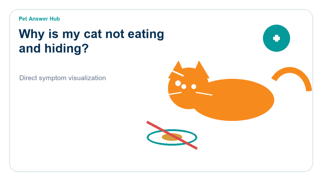 why is my cat not eating and hiding symptom state visual