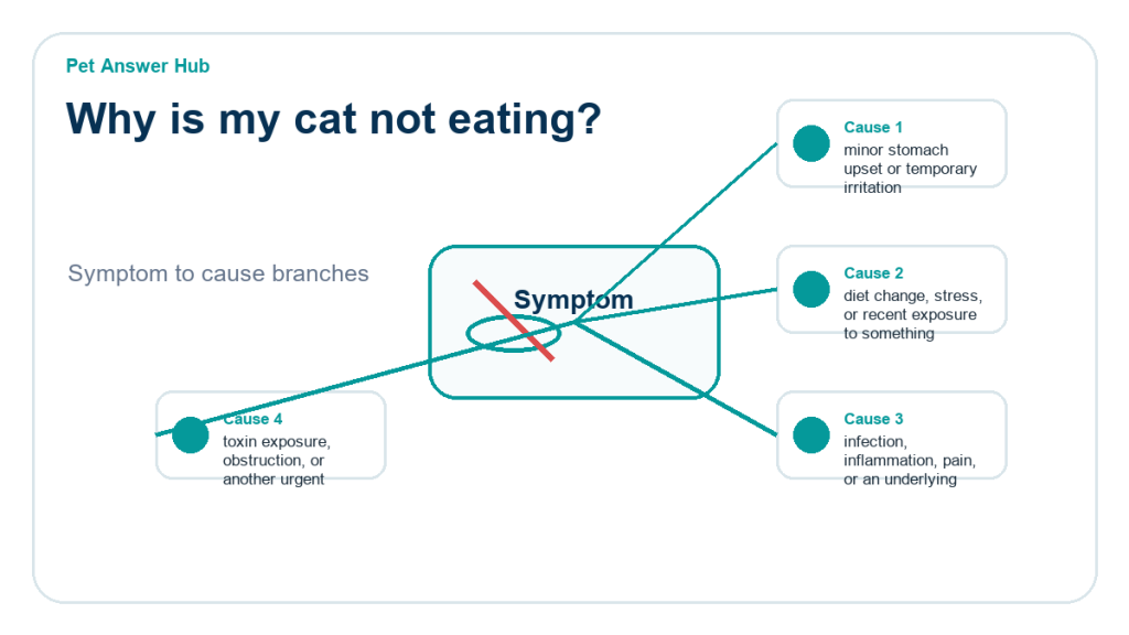 why is my cat not eating cause diagram