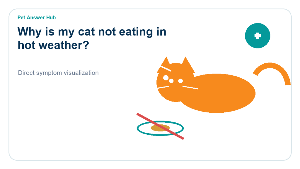 why is my cat not eating in hot weather cat symptom state visual