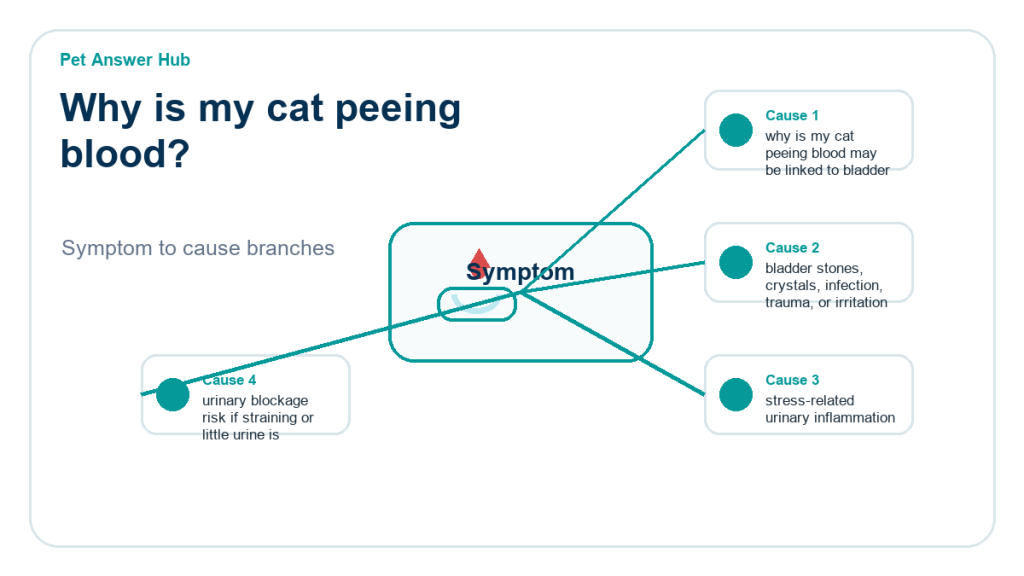 why is my cat peeing blood diagnostic cause diagram