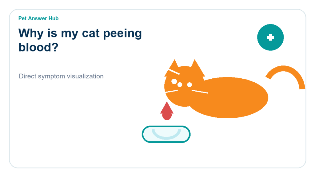 why is my cat peeing blood symptom state visual