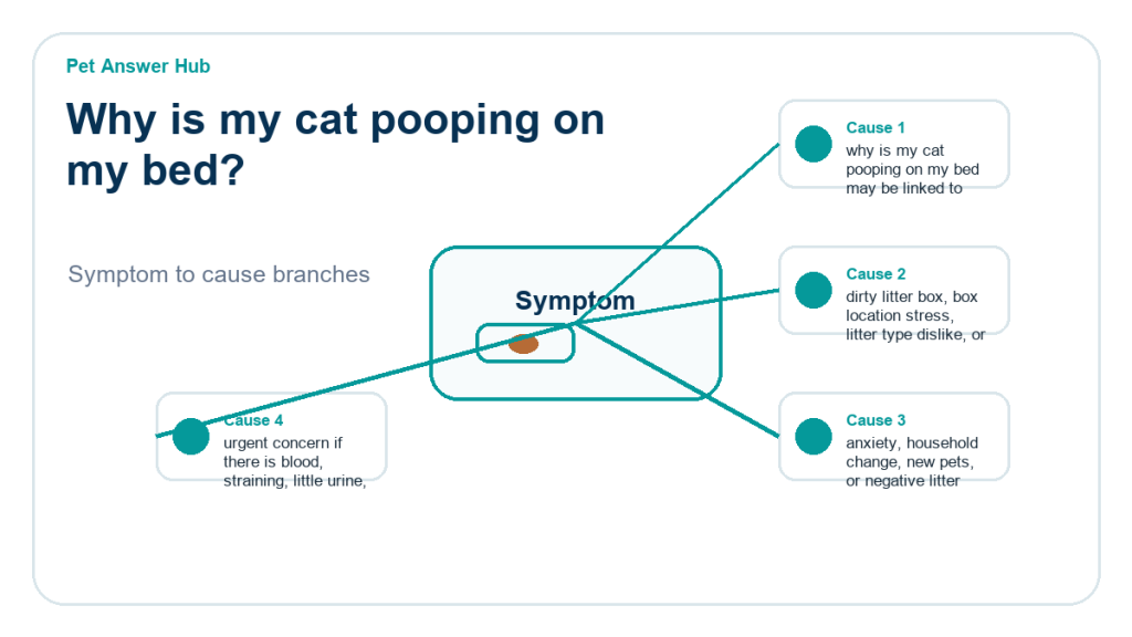 why is my cat pooping on my bed behavior cause diagram