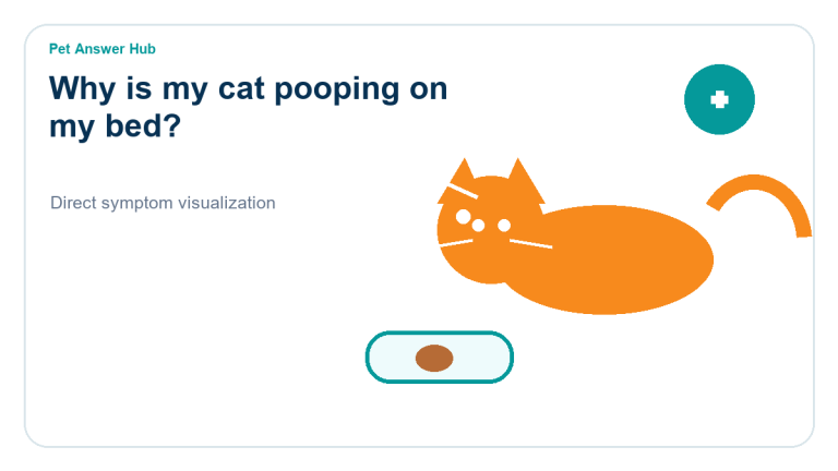 why is my cat pooping on my bed cat behavior visual