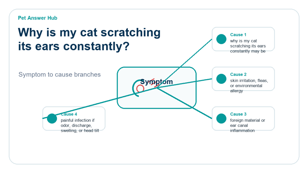 why is my cat scratching its ears constantly diagnostic cause diagram