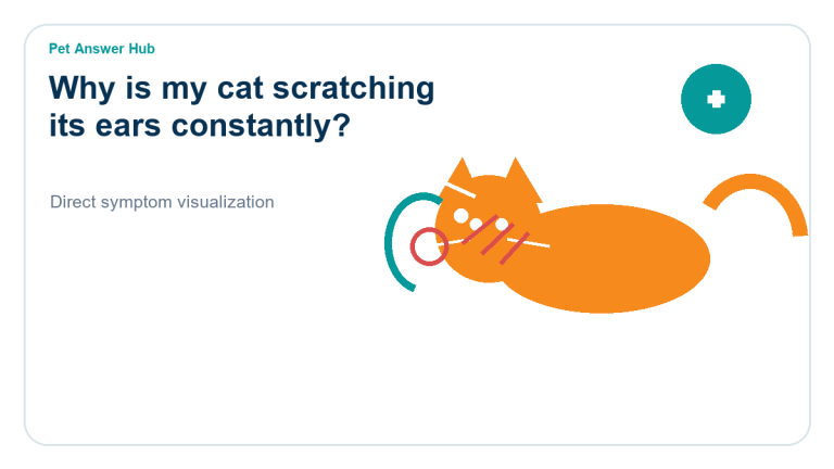why is my cat scratching its ears constantly symptom state visual