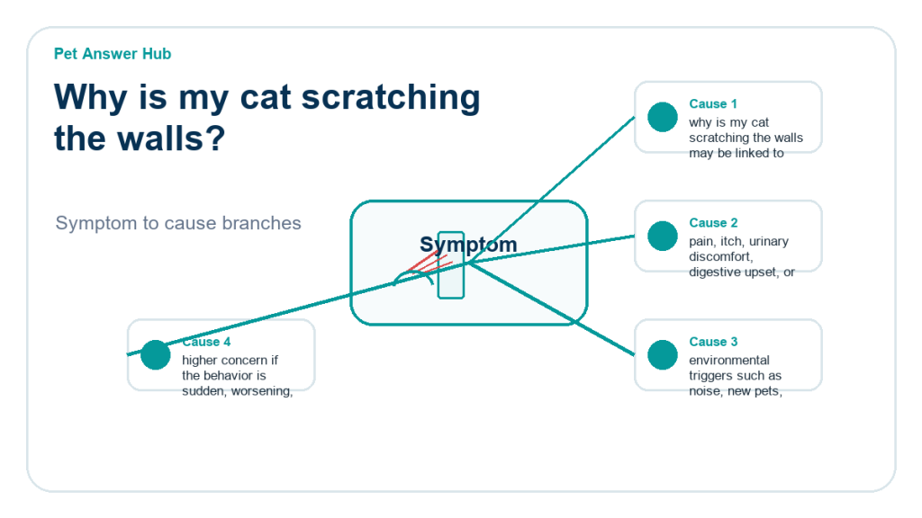 why is my cat scratching the walls behavior cause diagram