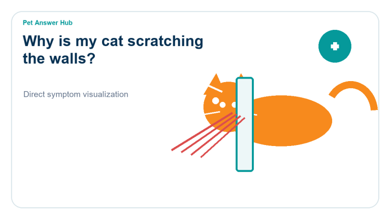 why is my cat scratching the walls cat behavior visual