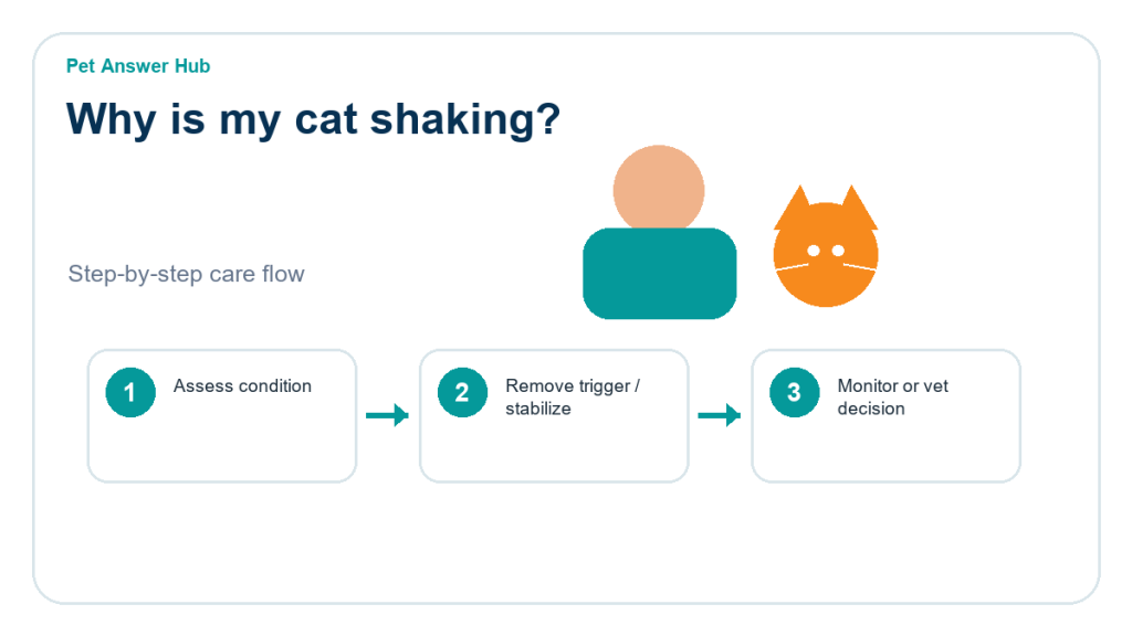 why is my cat shaking action guide