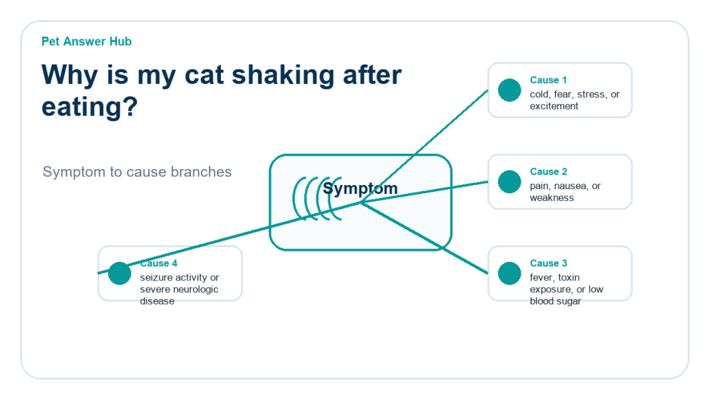why is my cat shaking after eating diagnostic cause diagram