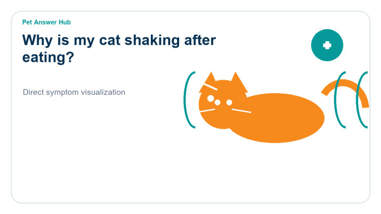 why is my cat shaking after eating symptom state visual