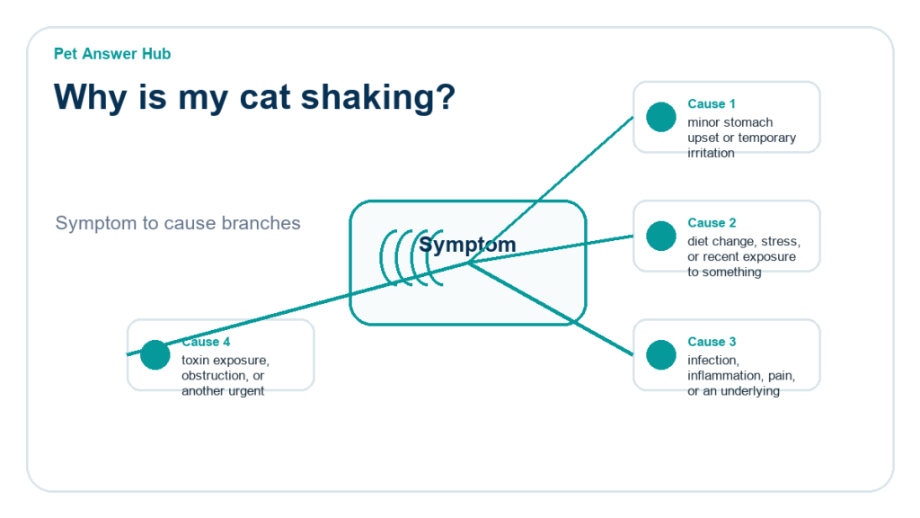 why is my cat shaking cause diagram