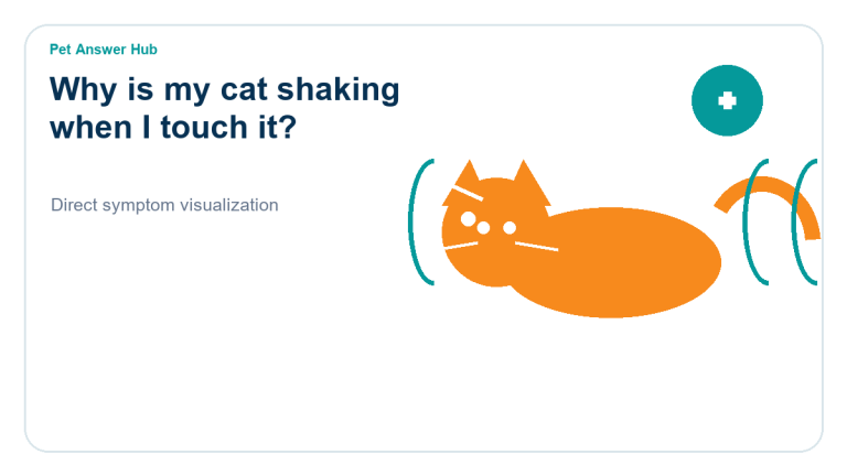 why is my cat shaking when i touch it cat symptom state visual