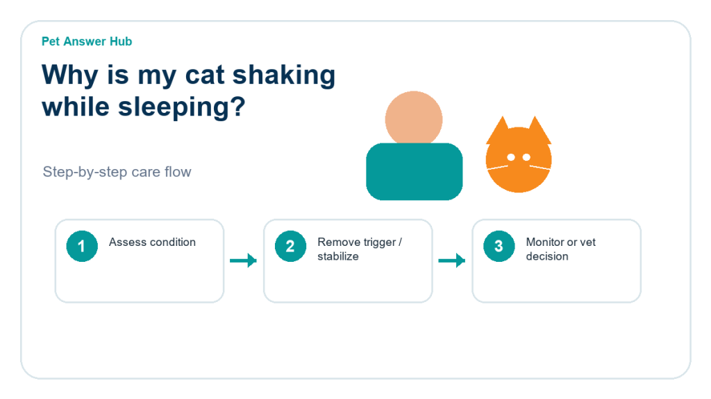 why is my cat shaking while sleeping cat care action flow